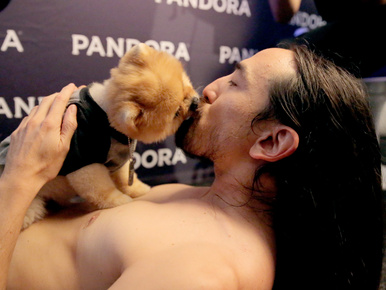 Steve Aoki rekorderkutyával csőrözött
