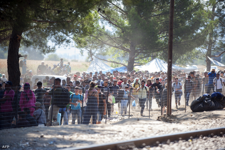 Menekültek várakoznak a görög-macedón határon
