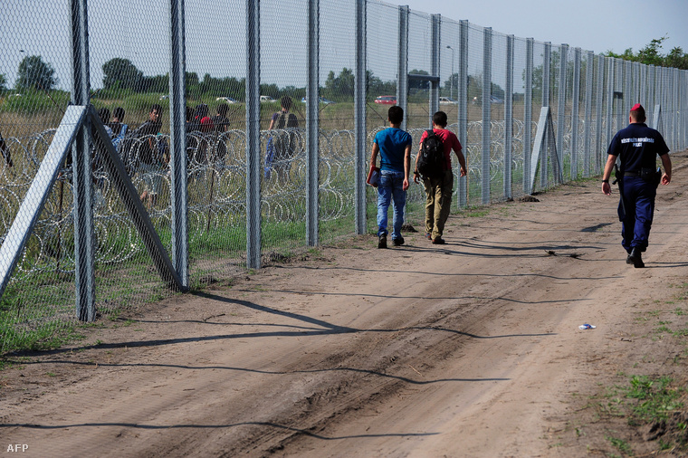 Menekültek sétálnak a kerítés mentén a szerb-magyar határon.
