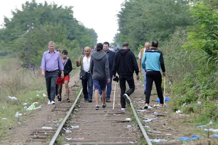Gyurcsány Ferenc a Demokratikus Koalíció elnöke (b) a Szeged-Horgos vasútvonalon sétál a határ szerb oldalán Horgos közelében 2015. szeptember 5-én.