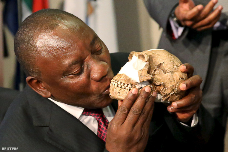 Cyrill Ramaphosa, dél-afrikai elnök meg is csókolta a most felfedezett ős koponyájának másolatát