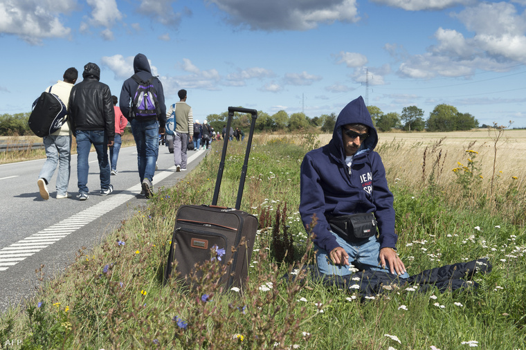 Imádkozó szír menekült egy dán autópálya mellett