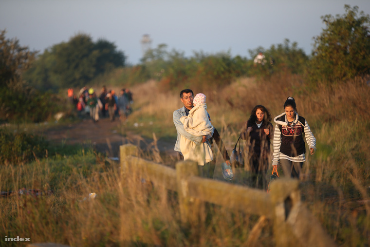 Menekültek érkeznek Magyarországra Szerbia felől hétfő reggel