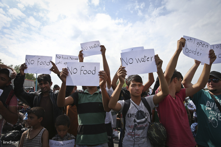 Éhségsztrájk a határon