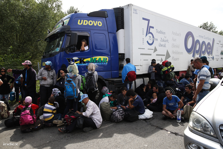 Ülősztrájkoló menekültek a szerb-magyar határnál
