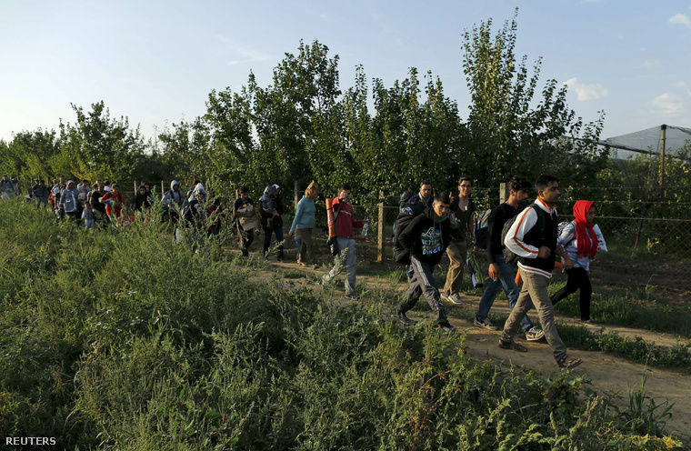 Menekültek érkeznek a horvát határhoz Sidnél
