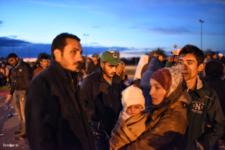Menekültek várakoznak Nickelsdorfnál, szeptember 20-án