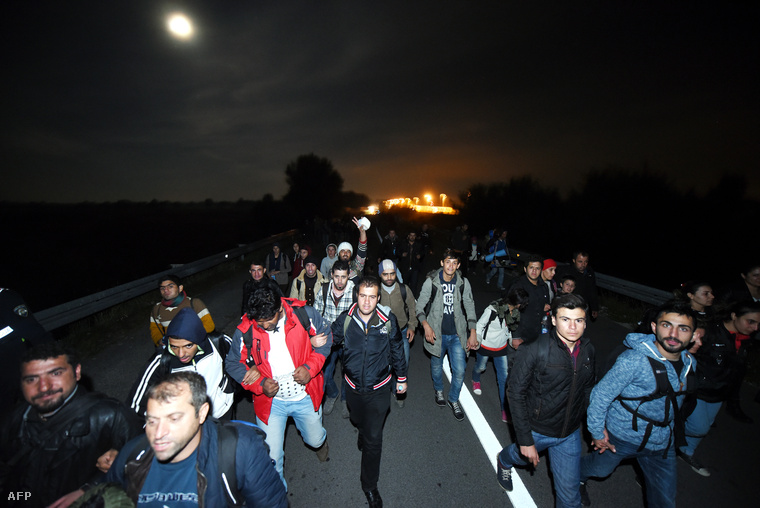 Menekültek gyalogolnak Magyarország felé a horvát-magyar határon kedd éjjel.