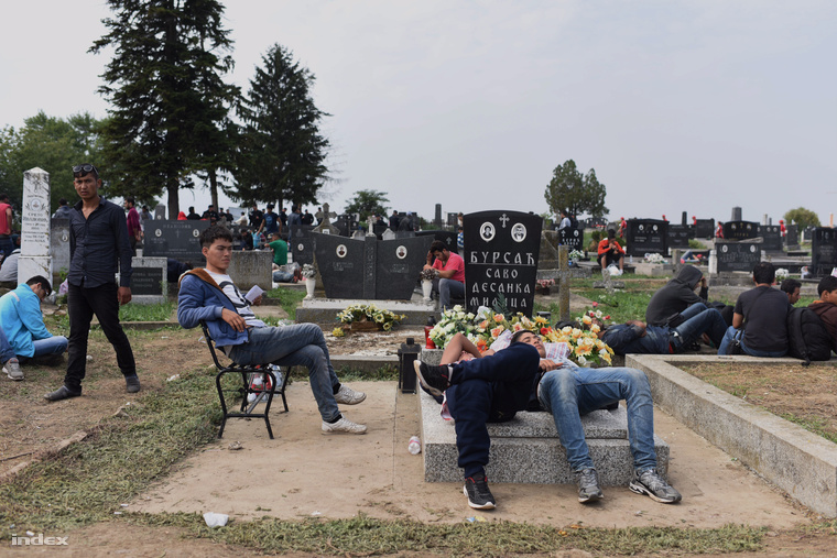 Menekültek pihennek a város melletti temetőben.